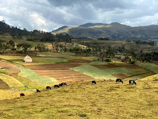 Mountains of Ethiopia